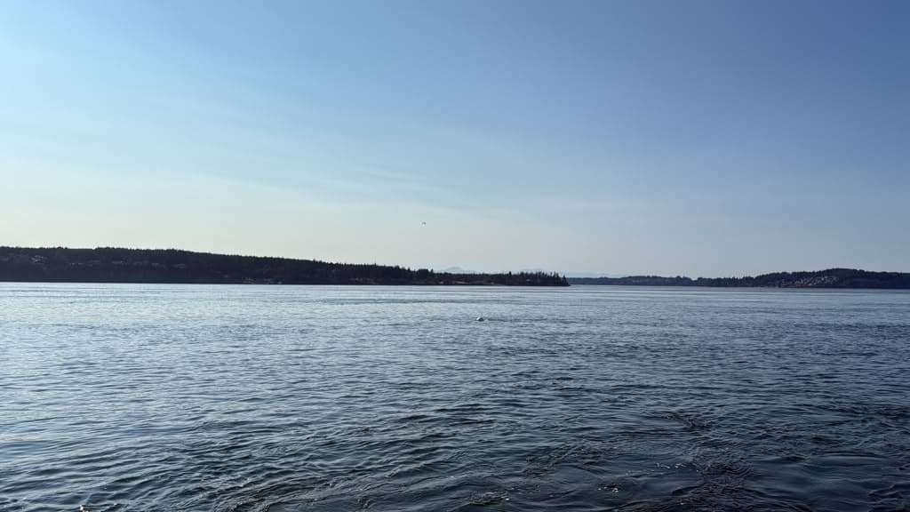 Calm water at Sunset Beach